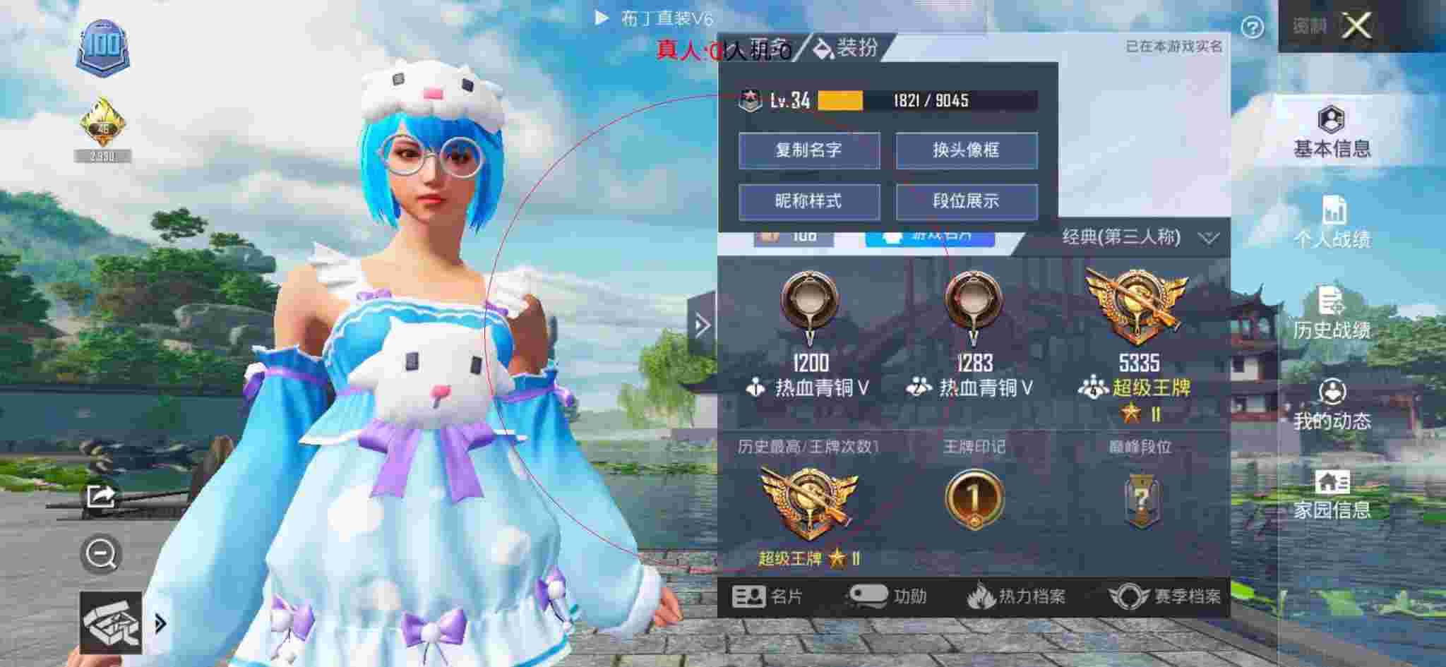 和平精英布丁直装透视 - 和平精英人物上色辅助模拟器辅助预览图
